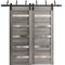 Sartodoors Sturdy Barn Door 18 x 80in, Matte Black Clear Glass, 6.6FT Rail Hangers Heavy Hardware Set LUCIA2166BD-B-BLK-18 - alternate 1